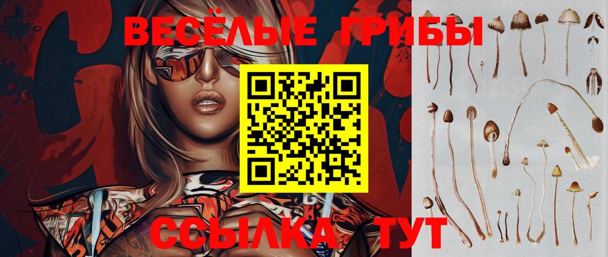 Псилоцибиновые грибы мухоморы Обь