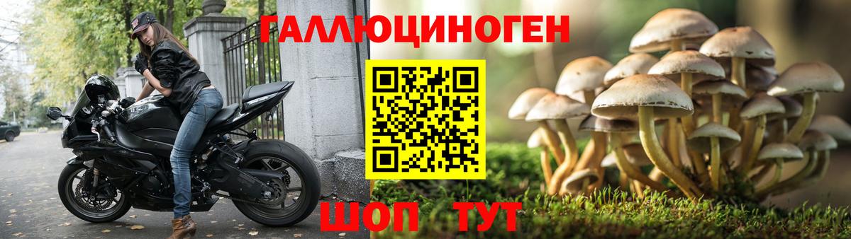 Галлюциногенные грибы Cubensis  Псилоцибиновые грибы Magic Shrooms  Вход с VPN  Обь 